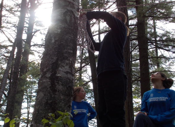 SCA Interns receive lifelong skills for success while helping to save our environmental heritage.