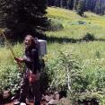 SCA Intern Alex Kirk uses an electro-shocker to stun non-native brook trout in the White River National Forest